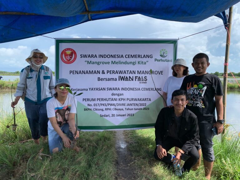 Penanaman Bibit Mangrove di Desa Sedari, Karawang